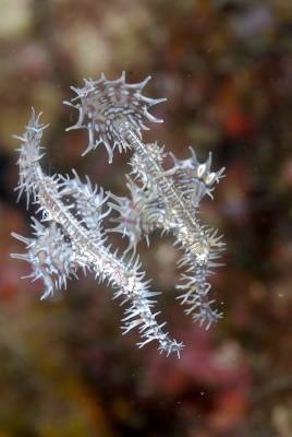 �����@���b�h���b�N